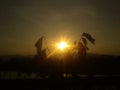 silhouette photos in the morning in the rice field area of Ã¢â¬â¹Ã¢â¬â¹a village